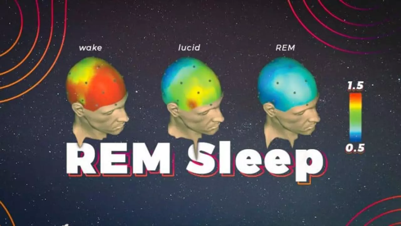The Connection Between Rapid Eye Movement Sleep and Creativity